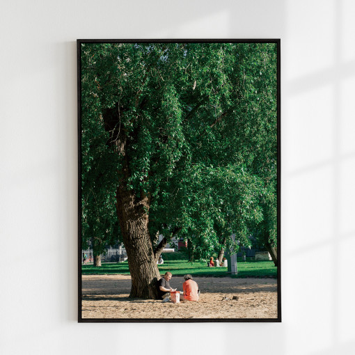 [요로코롬스튜디오] 감성 인테리어포스터 나무 공원 풍경 포스터 Big tree